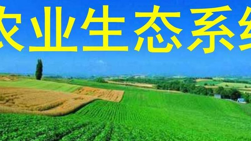 精准农业：揭秘种植技术设备背后的智慧
