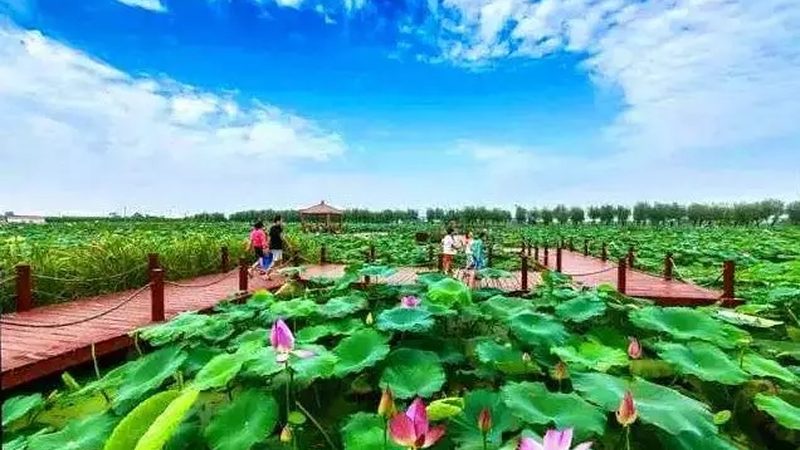 冻品批发市场进货，这些注意事项你get了吗？**
