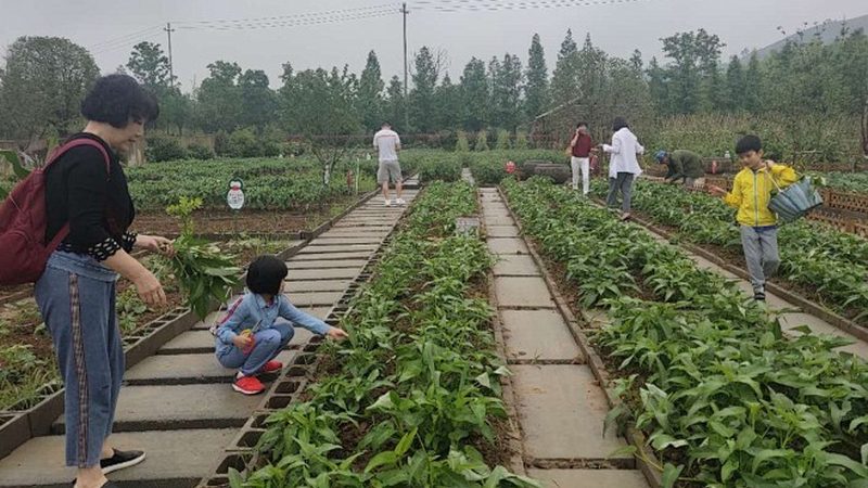 冷链物流方案：价格背后的考量因素