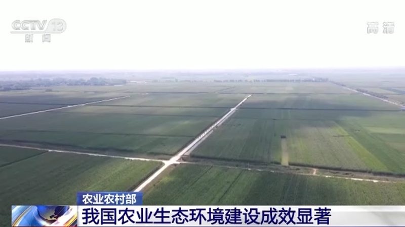 生鲜农产品冷链物流：标准规范与关键要素