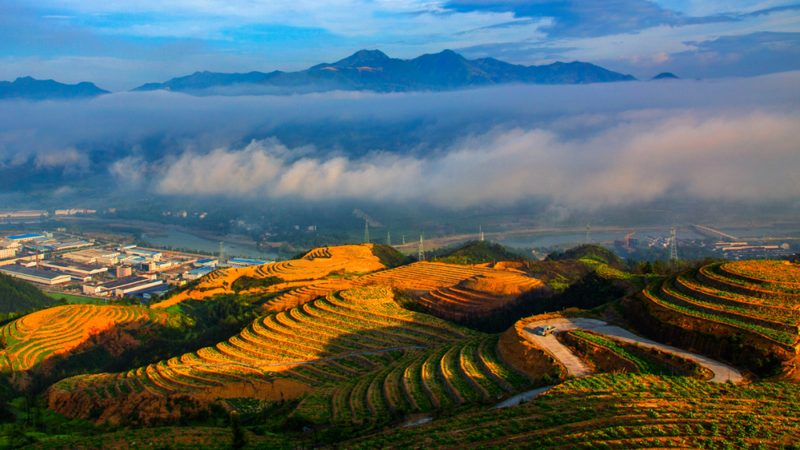 粮食种植深加工项目：五大关键注意事项