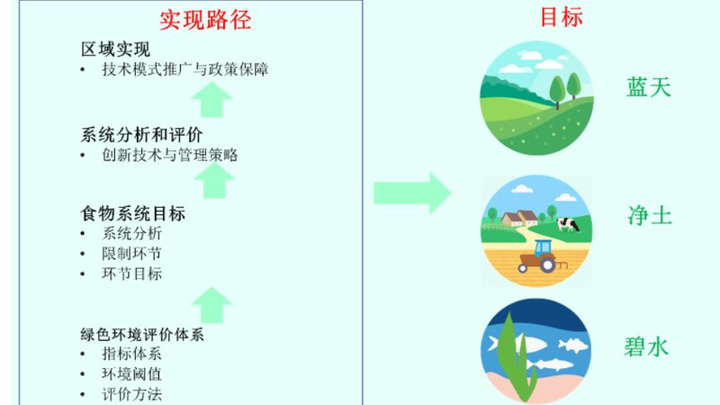 成都生鲜配送中心建设方案：构建高效冷链物流的关键要素