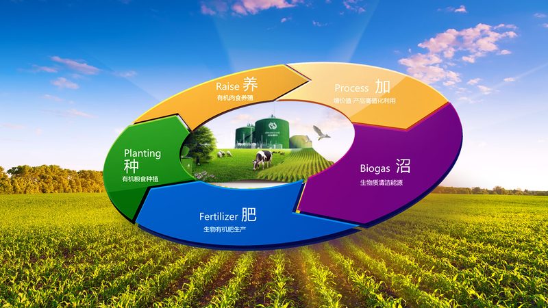 构建现代农业产业链，规范先行，效益提升