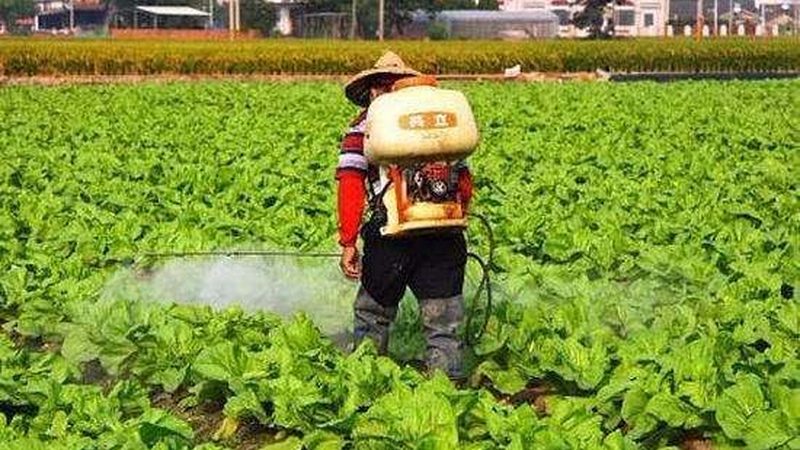 蔬菜大棚保温被：价格背后的技术考量